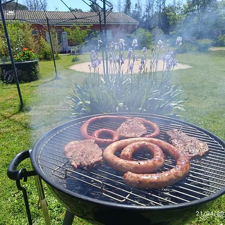 Maison Datcha Avec Jardin Et Piscine Privee Lavaur (Tarn)